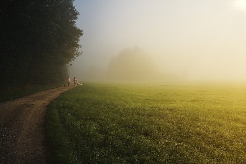 Mindful Walking in Nature